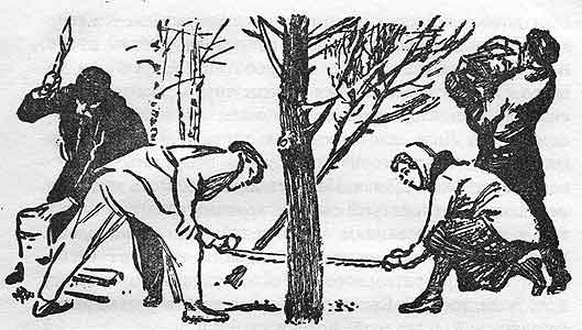 kar039.jpg (31241 bytes)